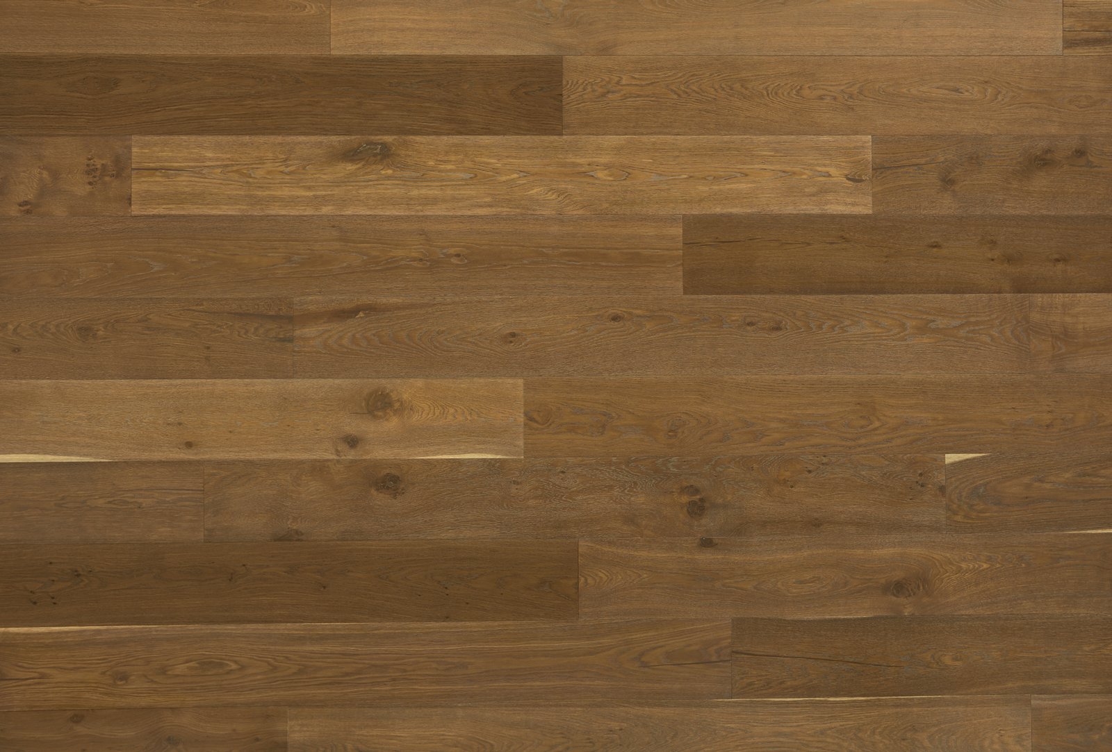 Joshua Tree Tyler – Plank