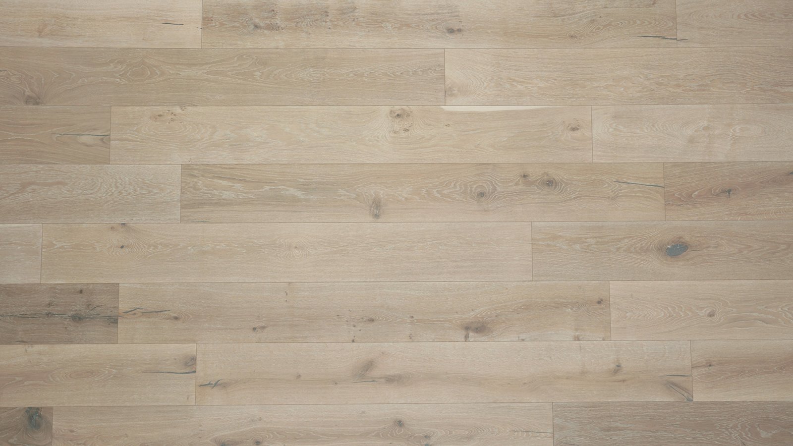 Zion St. Tropez – Plank