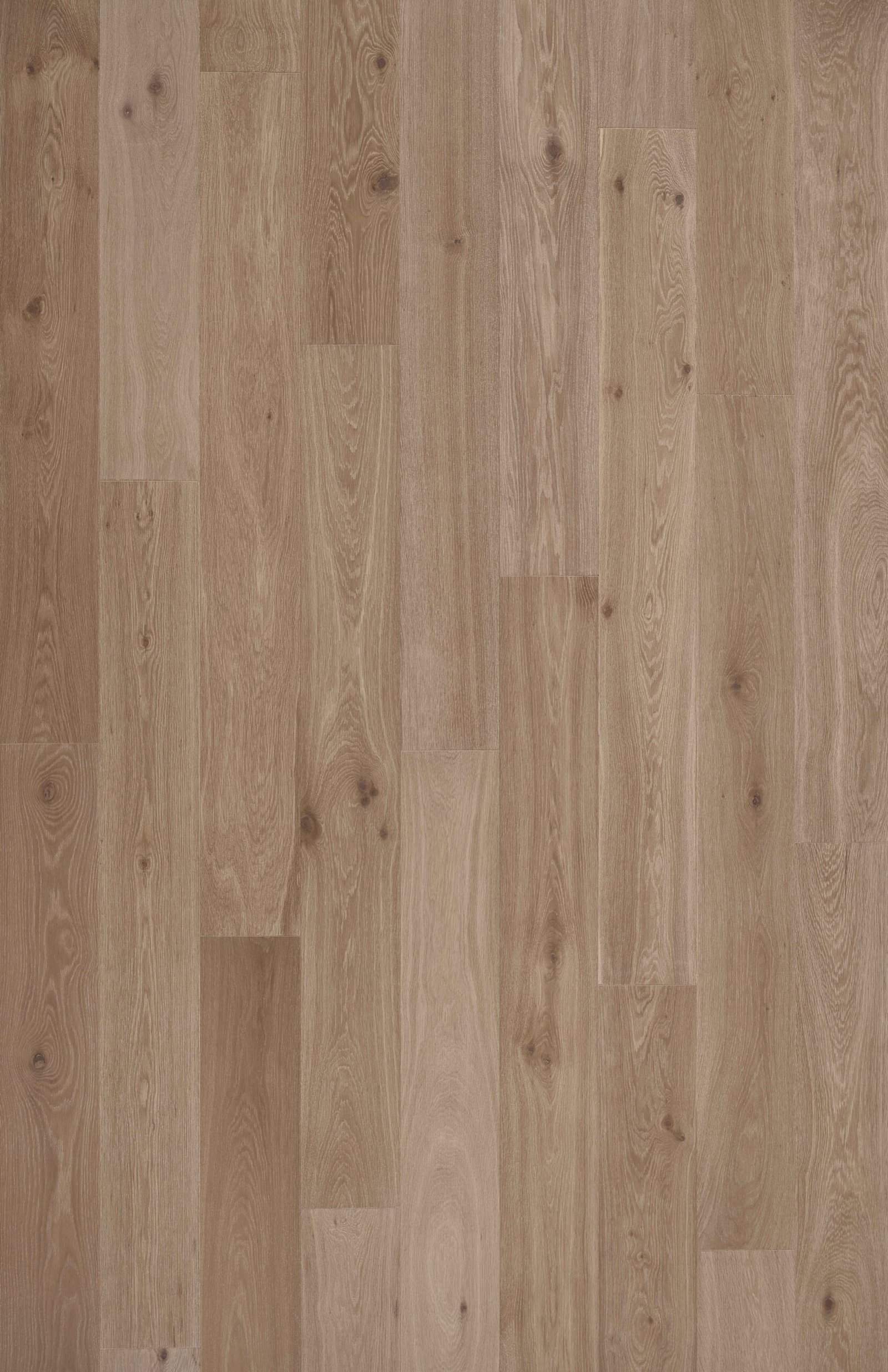 Divina wood swatch