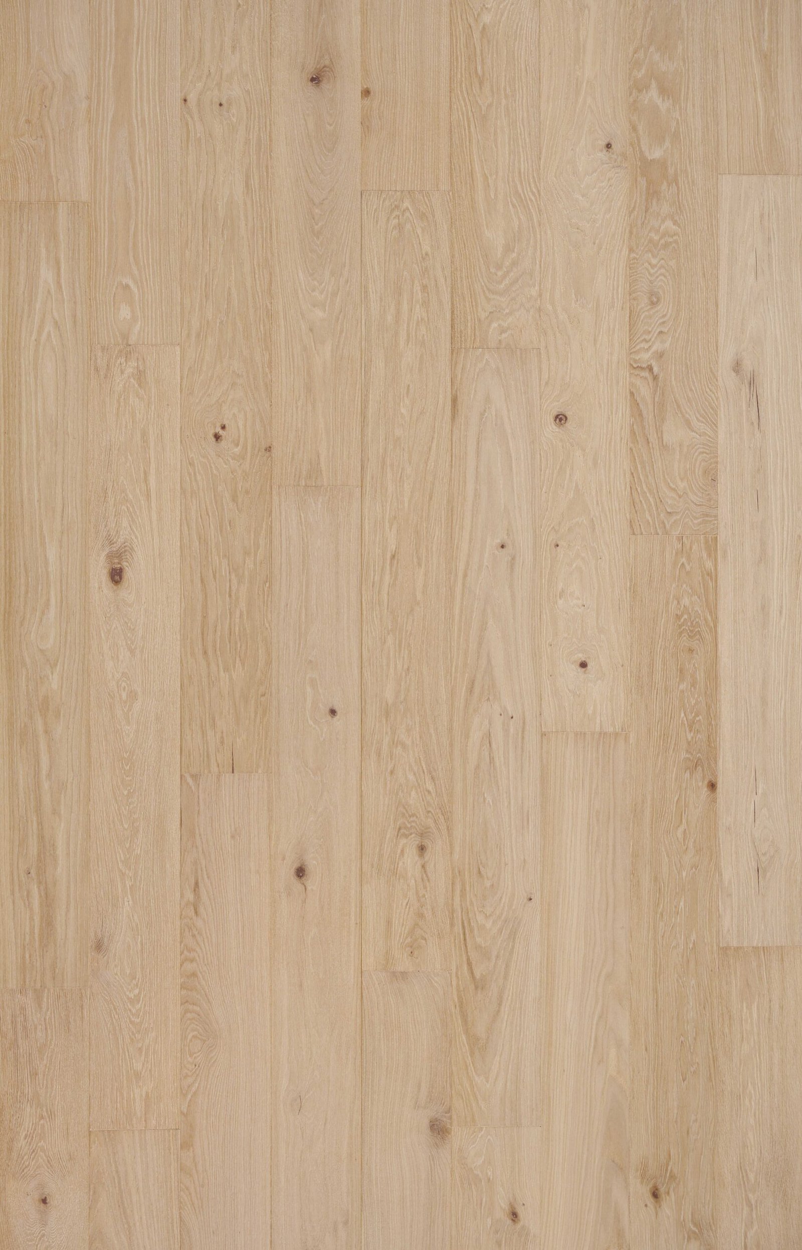 Seashore wood swatch
